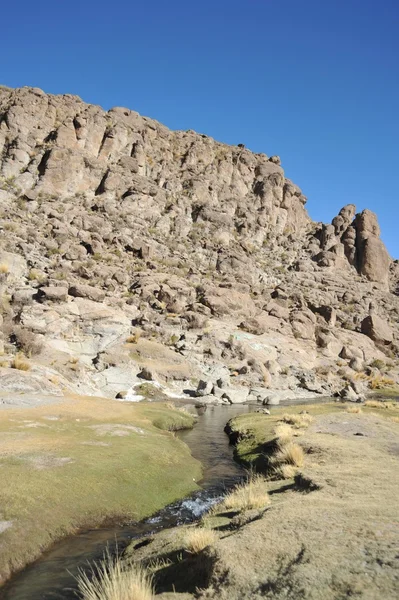 Altiplano. Bolivien — Stockfoto