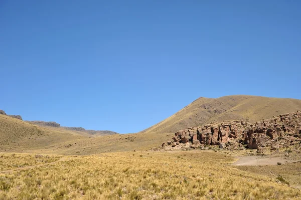 Altiplano. Republikken Bolivia - Stock-foto