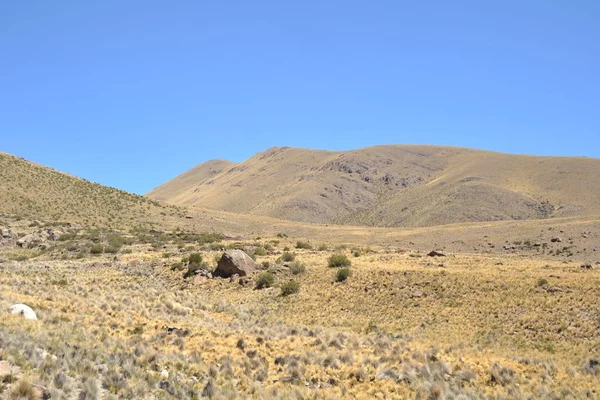 Altiplano. Bolivia — Foto de Stock