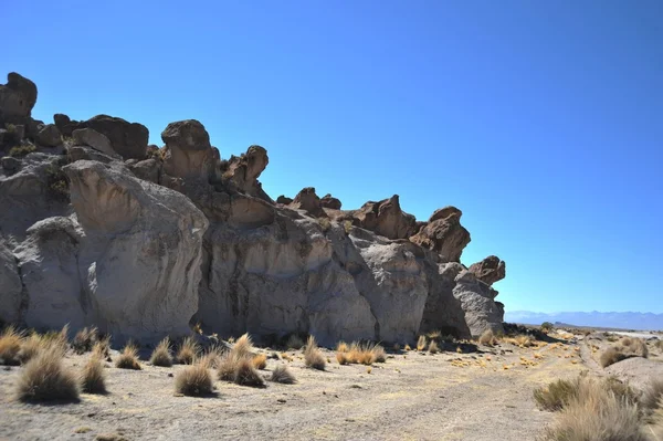 Altiplano. Bolivia — Stock Photo, Image