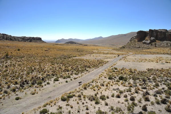 Vale Kala-Kala a cidade de Oruro . — Fotografia de Stock