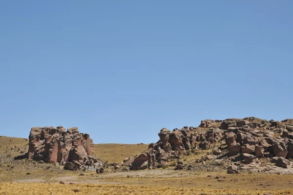 Altiplano. Bolivya — Stok fotoğraf