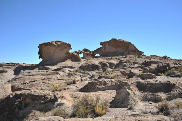 Altiplano. Bolivia — Stock Photo, Image