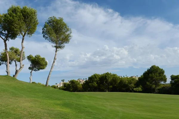 Golf courses in Orihuela Costa