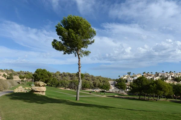 Orihuela costa Golf sahaları — Stok fotoğraf