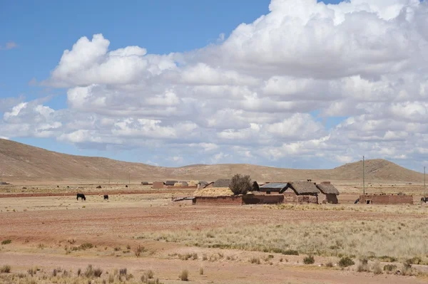 Altiplano. Bolivia — Stock Photo, Image