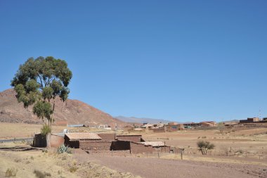 Altiplano. Bolivya