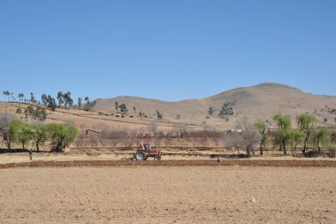 Altiplano. Bolivya