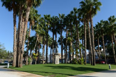 Golf club in Orihuela Costa.