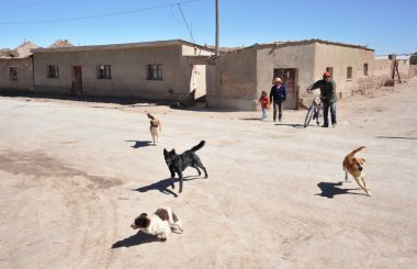 Göl Uyuni üzerinde tuz cellars