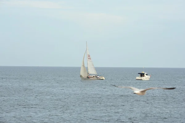 In the harbor  in Torrevieja. — Stock Photo, Image