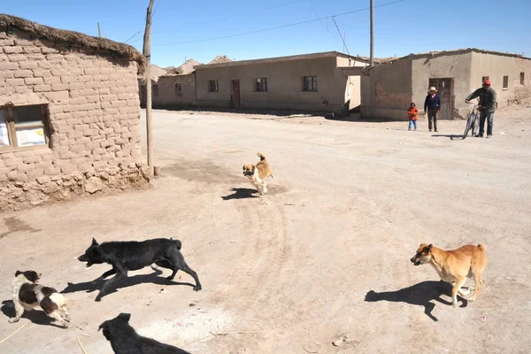 Nas ruas da aldeia nos apartamentos de sal de Uyuni . — Fotografia de Stock