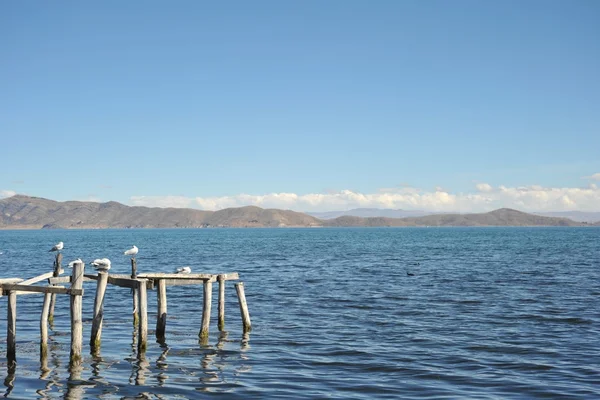 Horské jezero titicaca — Stock fotografie
