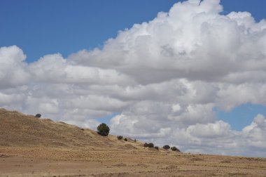 Altiplano, Bolivya