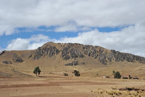 Altiplano, Bolivia — Stock Photo, Image