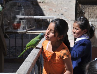 Papağan Potosi sokaklarında bilinmeyen kızlarla.