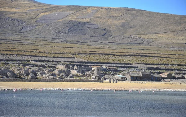 Flamingos auf dem Salzsee von Uyuni — Stockfoto