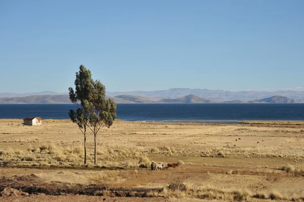 Umgebung Bergsee titicaca — Stockfoto