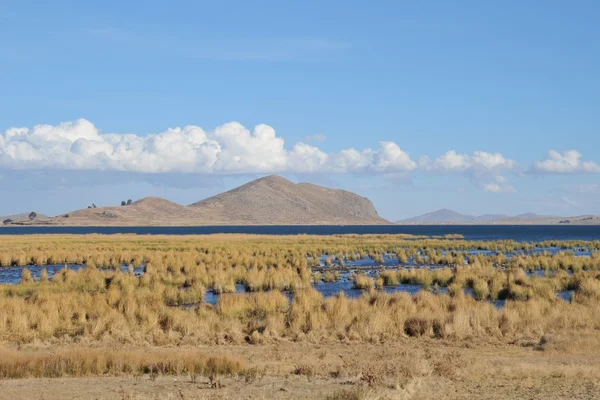 Alrededores Lago de montaña Titicaca —  Fotos de Stock