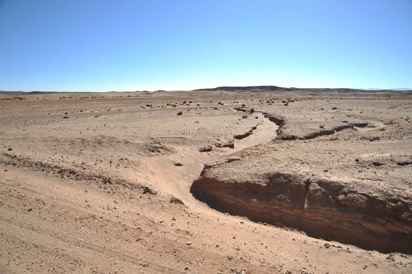 Altiplano. Bolivia — Stock Photo, Image