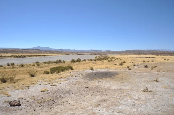 Altiplano. Bolivia — Stockfoto