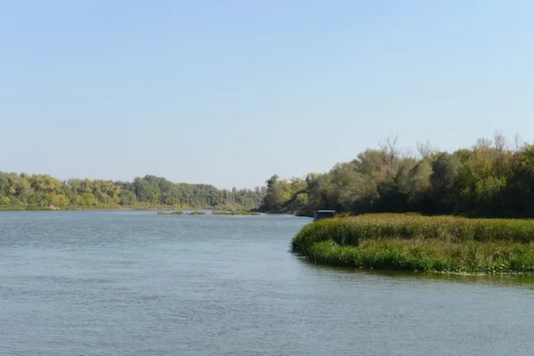 The River Don — Stock Photo, Image