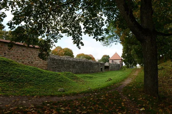 La colonie dans un château médiéval de Trakay . — Photo