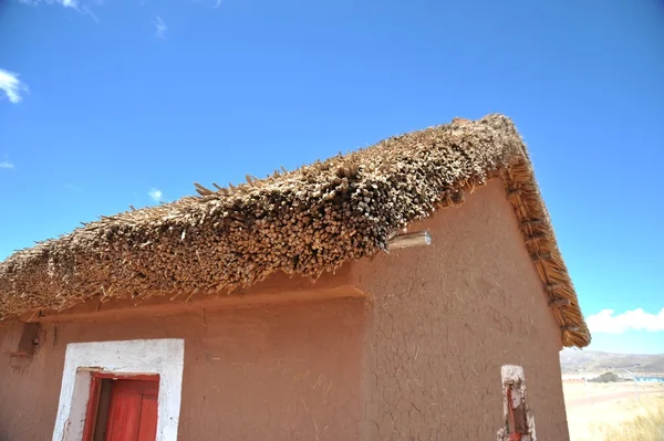 Střecha rákosí v bolivijské horské vesnici v rozlehlosti Altiplano — Stock fotografie