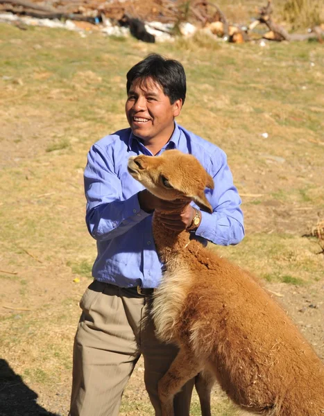 Boliviaanse man met een Vicuña. — Stockfoto