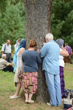 Hacılar sedir şifa yönü.