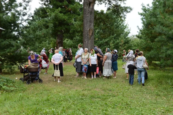 Pilgrims at healing cedar. — Stock Photo, Image