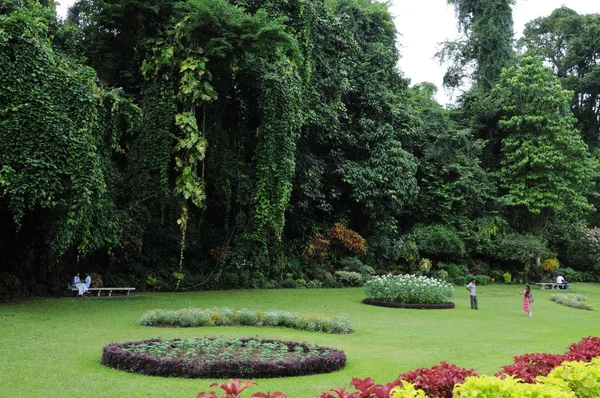 Jardines botánicos reales únicos en Peradeniya es considerado como uno de los mejores de Asia, ya que contiene una colección de 4000 especies de plantas . — Foto de Stock
