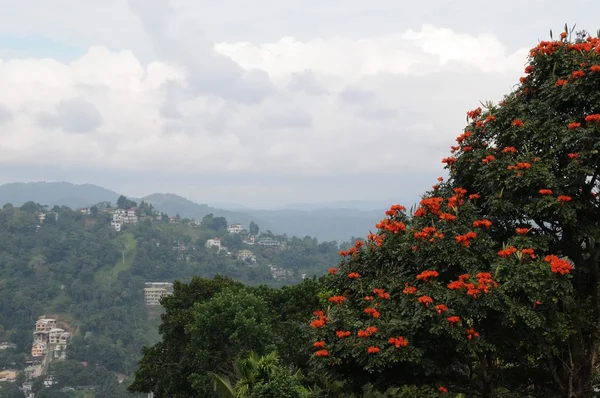 Kandy es una ciudad en la parte central de Sri Lanka —  Fotos de Stock