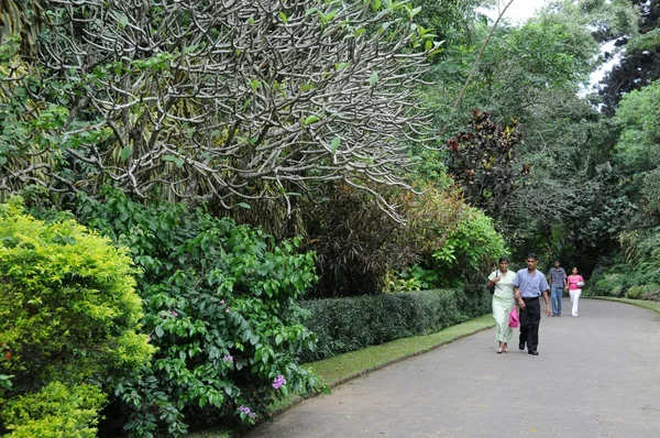 Unikátní Královské botanické zahrady Peradeniya je považován za jeden z nejlepších v Asii — Stock fotografie