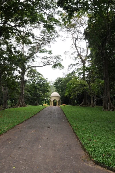 Egyedi Királyi Botanikus kert Peradeniya tekintik az egyik legjobb Ázsiában — Stock Fotó