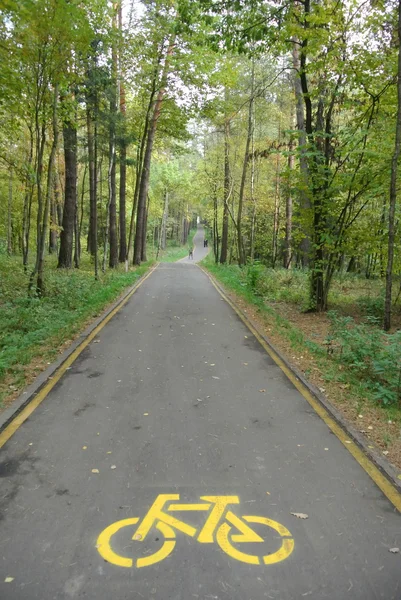 Cyklistická stezka. Městě Meshchersky Park. Moskva — Stock fotografie