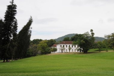 Peradeniya benzersiz Kraliyet Botanik Bahçeleri Asya'nın en iyilerinden biri olarak kabul edilir