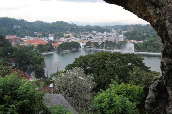 Kandy je město v centrální části Srí Lanky, jednoho z dávných měst ostrova — Stock fotografie