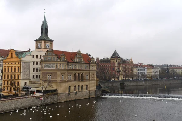 ปราก แม่น้ํา Vltava . — ภาพถ่ายสต็อก