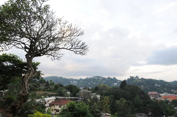 Kandy es una ciudad en la parte central de Sri Lanka, una de las antiguas capitales de la isla. Incluido en la lista del patrimonio mundial de la UNESCO . —  Fotos de Stock