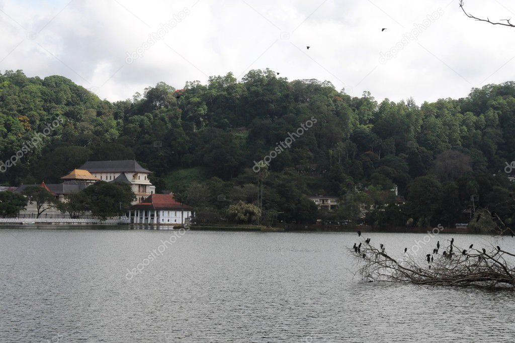 View of  lake in Kandy.