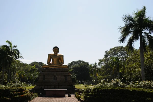 Ein monument für den buddha in colombo — Stockfoto