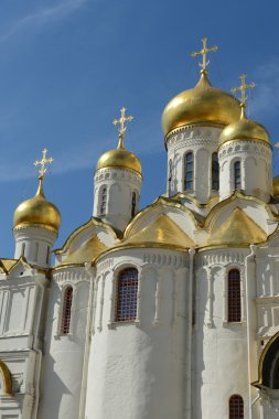 Moskova Kremlin duyuru katedral kubbe.