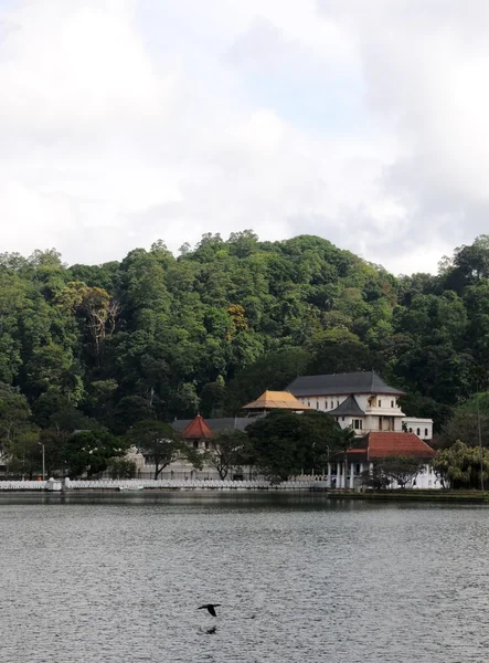 Blick auf den See in Kandy. — Stockfoto