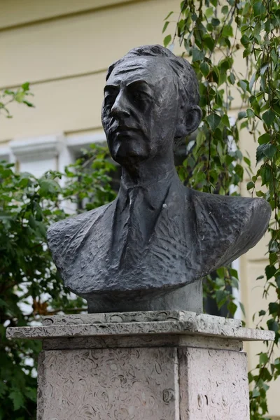 O busto do escritor Ivan Bunin em Yelets — Fotografia de Stock