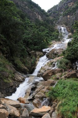 sri Lanka'da nuwara eliya yakınındaki derin orman şelale.