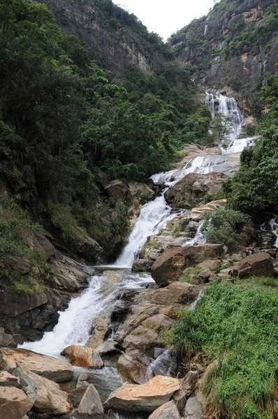 Cascada en bosque profundo cerca de Nuwara Eliya en Sri Lanka . — Foto de Stock