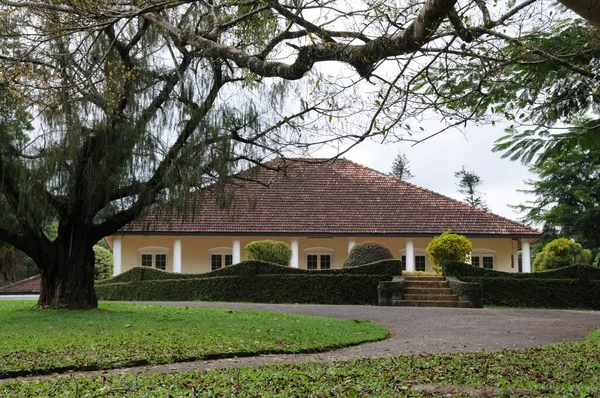 Einzigartiger königlicher botanischer Garten in Peradeniya gilt als einer der besten Asiens — Stockfoto