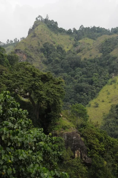 Paisaje de montaña en los alrededores de Nuwara Eliya . — Foto de Stock