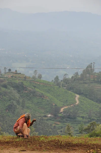 Agricultor no identificado maneja plantación agrícola en los alrededores de la ciudad de Nuwara Eliya . — Foto de Stock